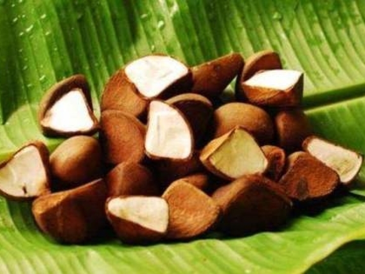 Regras de subvenção para produtos da sociobiodiversidade em 2021