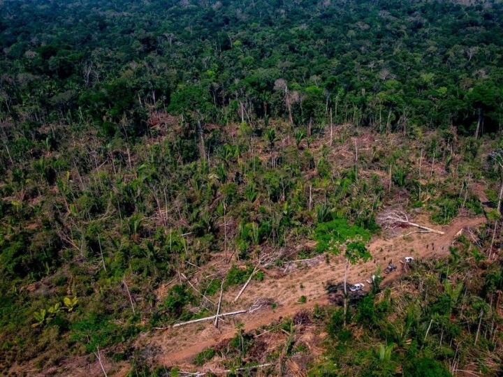 Força-Tarefa da Amazônia obtém bloqueio de quase R$ 29mi em bens de infrator ambiental
