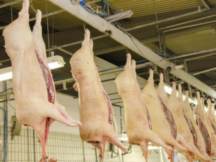 Exportações de carne suína confirmam recorde em 2020