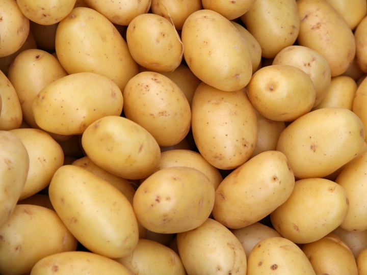 Yara apresenta novidades sobre o cultivo da batata 