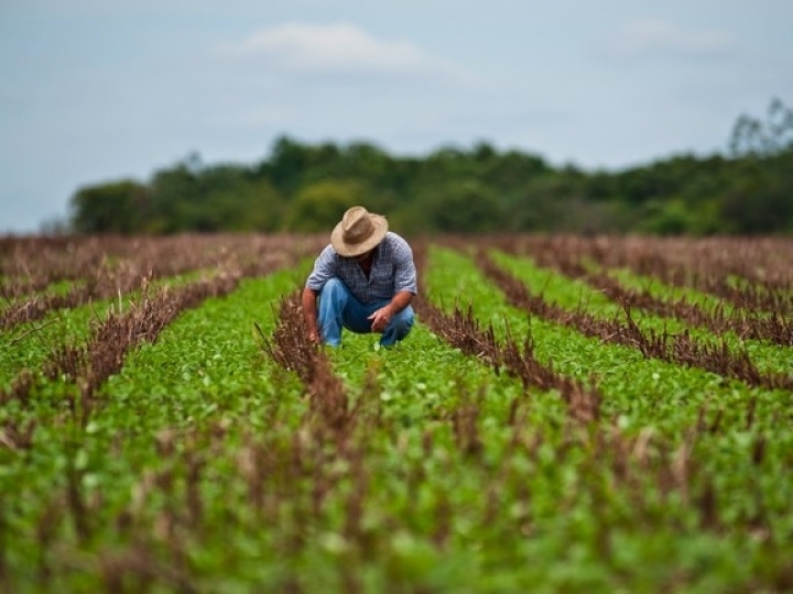 Contratação de crédito rural sobe 18% na safra 2020/21