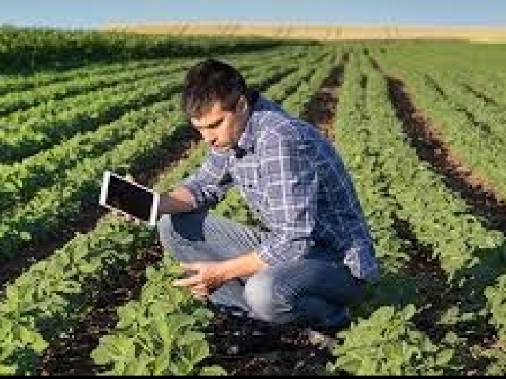 Iniciativa leva gratuitamente informações e conteúdos de alta qualidade a agricultores 