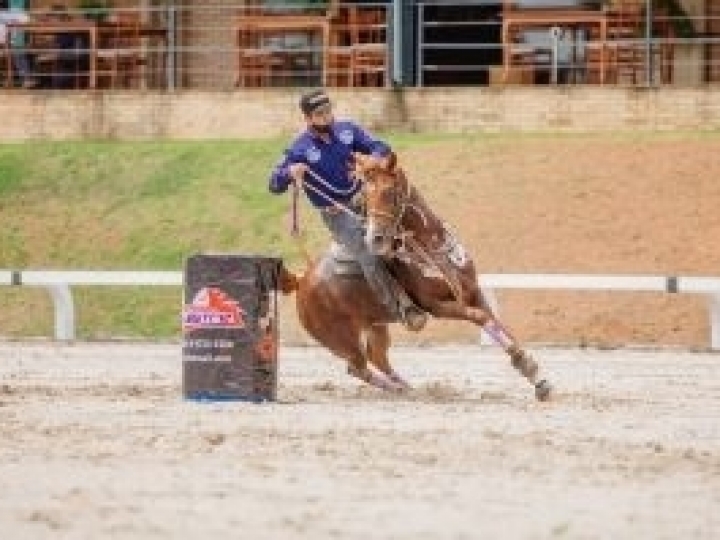 Halter e Três Tambores são os temas da 19ª edição do Programa do Cavalo Árabe
