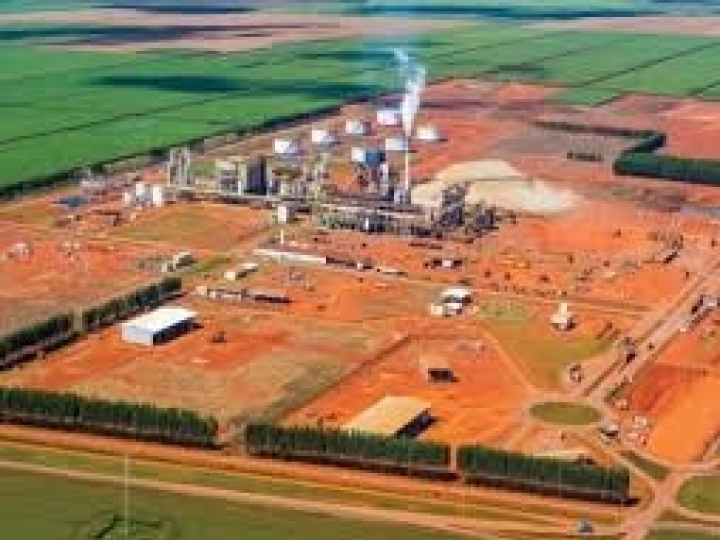 Lucro da CerradinhoBio mais que triplica no 3º trimestre da safra 2020/2021