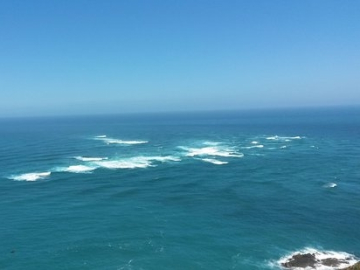 Redução nos custos de frete em até 35% por rota pelo Pacífico