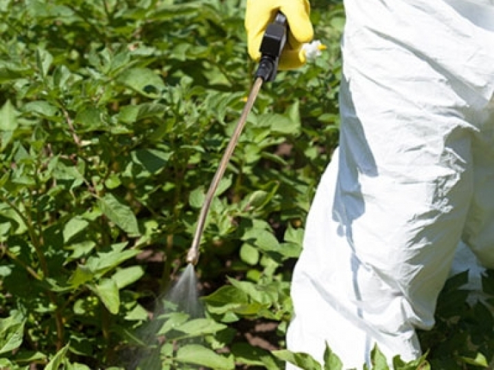 Conab oferta em leilão lotes de defensivos agrícolas apreendidos em operação da Justiça