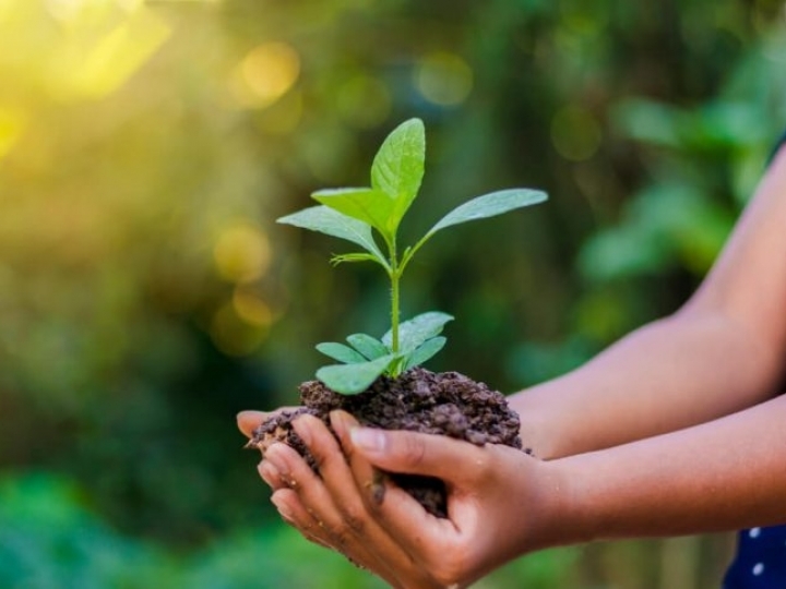 Brasileiros se preocupam muito com a questão ambiental 