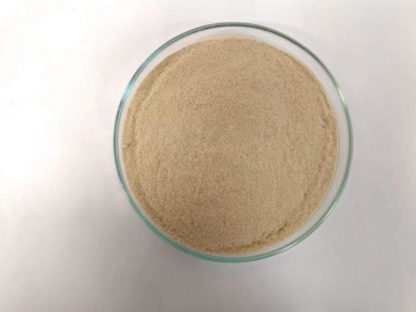 Um material produzido a partir do bagaço e de nanopartículas magnéticas removeu cobre e crômio da água (Crédito: Divulgação / Acervo dos pesquisadores)