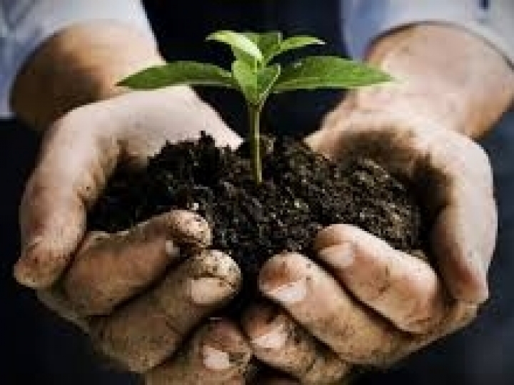 Grupo Nitro adquire Biocontrol e dá  mais um passo em sua estratégia de atuação no setor  agro