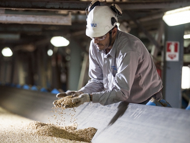 Agronegócio movimenta 25 milhões de toneladas por terminais conectados à FCA   