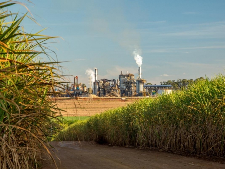 Setor sucroenergético é exemplo no tratamento de resíduos 