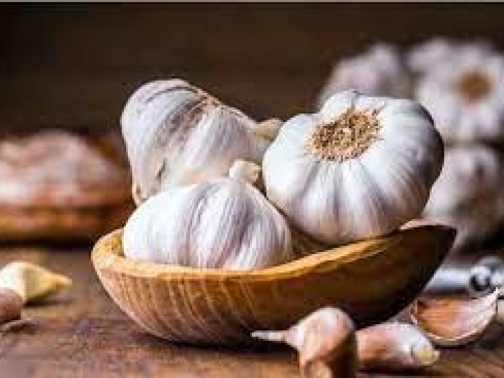 Tecnologias da Embrapa impulsionam crescimento da produção de alho no Brasil