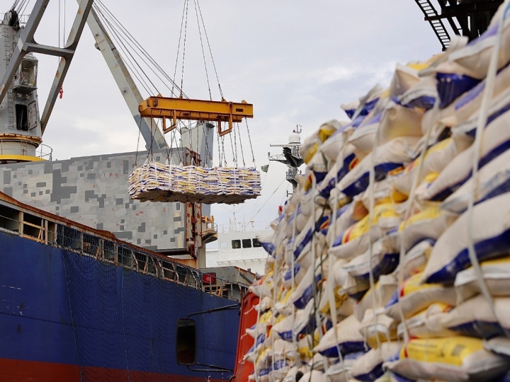Novo lote de fubá em sacas é embarcado no Porto de Paranaguá