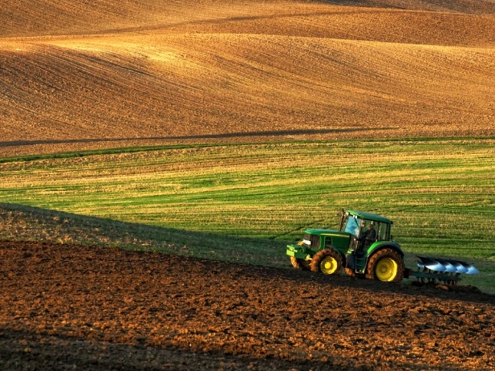 Pré-custeio da safra: Momento de pensar no seguro agrícola
