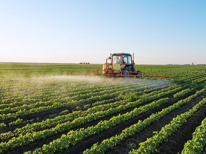 Governança e compliance abrem espaço para cooperativas no mercado internacional