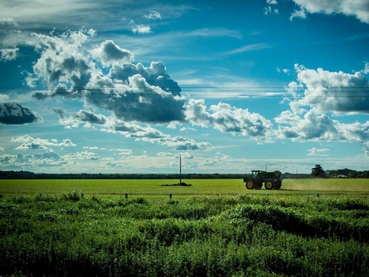 Contratação do crédito rural alcança mais de R$ 147 bilhões em oito meses