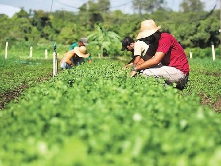 Seminário sobre agroecologia e agricultura familiar entre países da América Latina