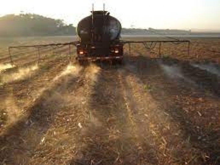 BP Bunge Bioenergia amplia em 185% áreas com fertirrigação localizada com vinhaça 