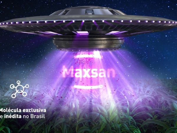 Foto: Internet