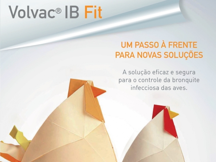 Boehringer Ingelheim lança vacina altamente eficaz para bronquite infeciosa em aves 