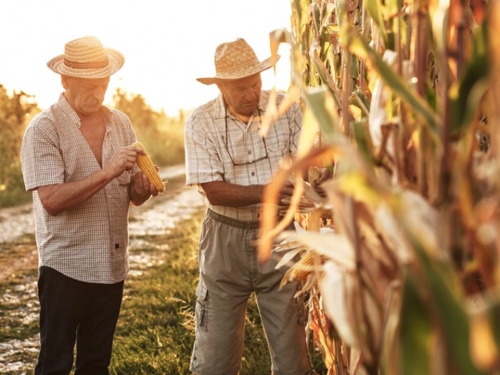 Garantia-Safra autoriza pagamento para mais de 13 mil agricultores familiares