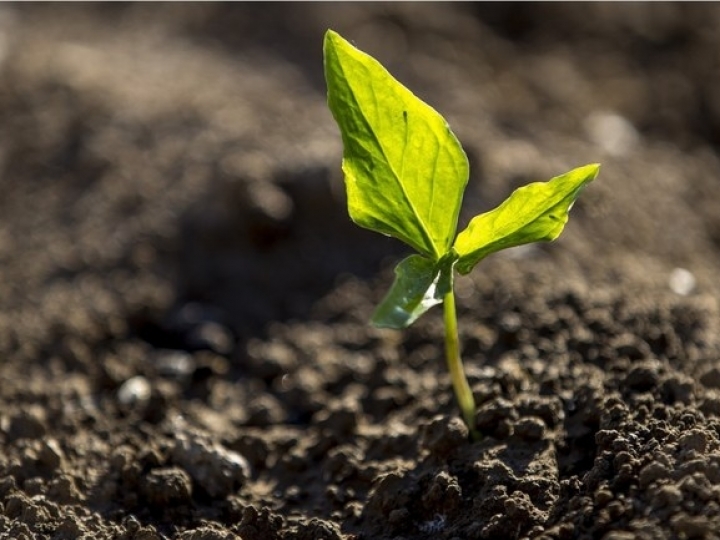 Corteva Agriscience, Sociedade Brasileira de Ciência do Solo e Embrapa Solos promovem evento no Dia Nacional da Conservação do Solo
