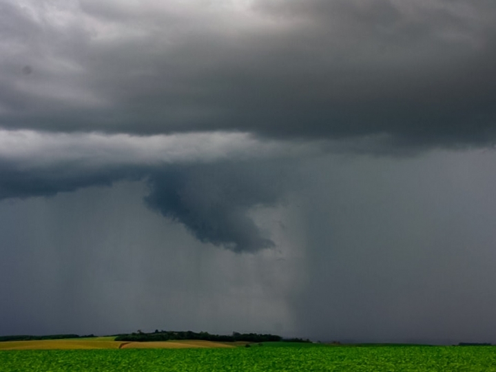 Monitoramento Agrícola da Conab registra chuvas em todas as regiões produtoras do país