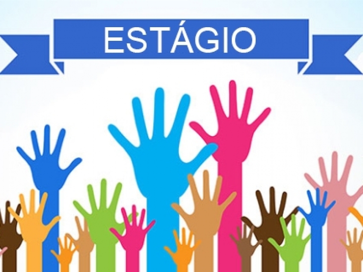 BP Bunge Bioenergia reabre inscrições para o Programa de Estágio 2021 