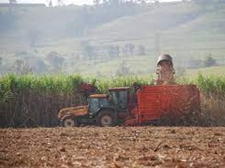 VPA 2020: Cana, Carne Bovina e Soja mantêm as primeiras posições 