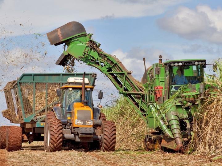 Safra 20/21 termina com crescimento na moagem de cana