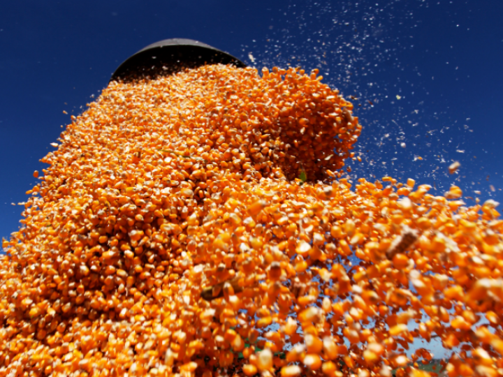 Webinar “Agricultura e Inovação nos EUA e no Brasil” no dia 15 de abril, às 19h