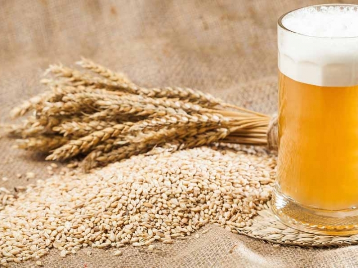 Pela primeira vez, TPPF opera na importação de malte para cervejaria brasileira