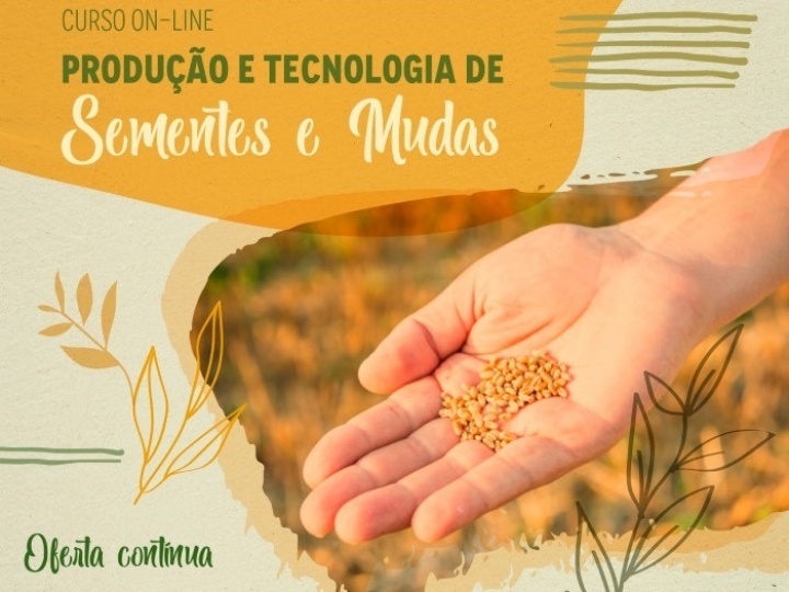 Embrapa lança curso on-line de produção e tecnologia de sementes e mudas