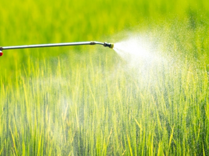 Abag recebe CropLife para avaliação sobre o cenário legislativo dos defensivos agrícolas no Brasil  