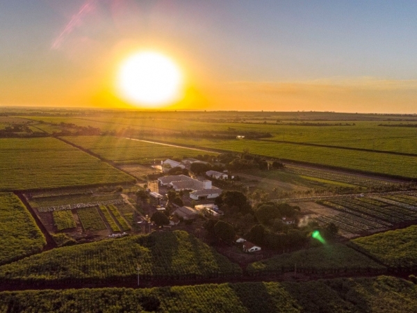 Foto aérea da Unidade de Pesquisa e Inovação, em Guaíra, em São Paulo. Foto: Divulgação