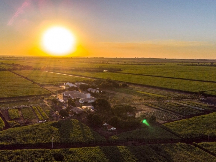 Barenbrug do Brasil conta com programa pioneiro voltado aos canais de distribuição