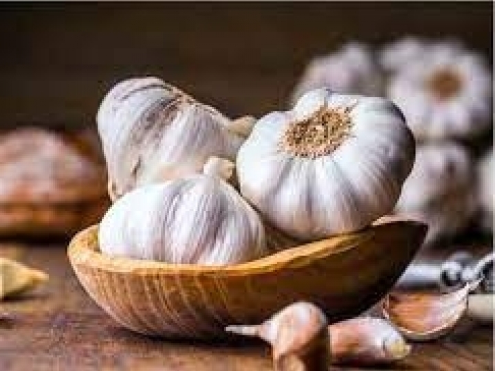 Conab atualiza conjunturas com informações de mercado do alho e da cana-de-açúcar