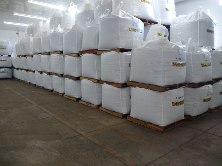 Safra de produção ou de colheita não garante qualidade de sementes