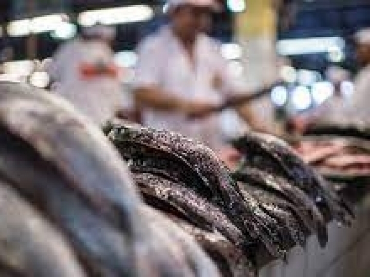 Brasil adere à Declaração de Copenhague contra crimes na indústria pesqueira