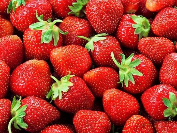 IAC coordena Rede Morangos do Brasil 