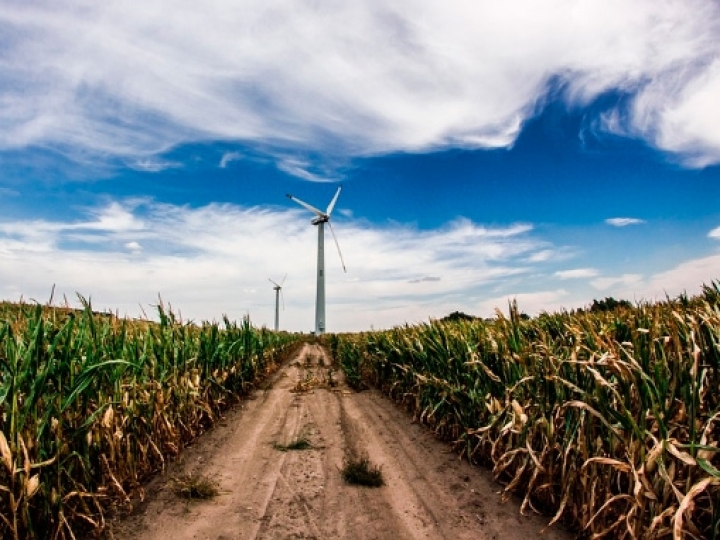 São Paulo gera 54% da bioeletricidade de cana para o SIN