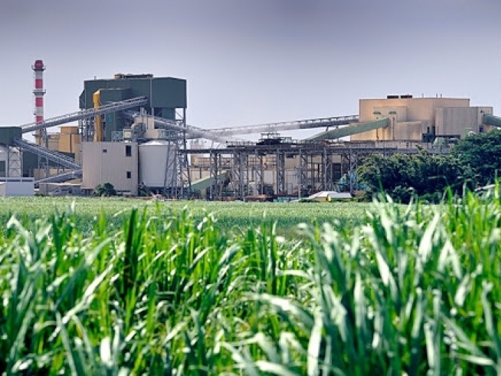 Nova fase do Projeto Satô da IHARA na gestão da produção de açúcar 