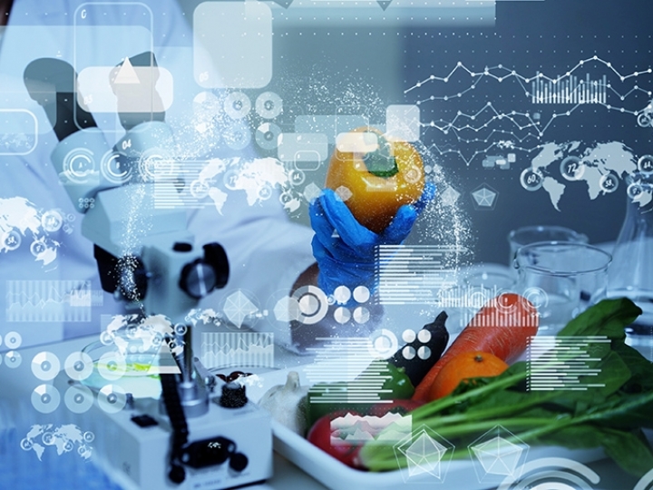 Número de startups no agro aumentou 40% em relação a 2019