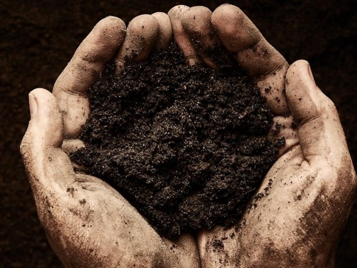 Bayer anuncia nova fase da iniciativa Carbono com benefícios para agricultores 