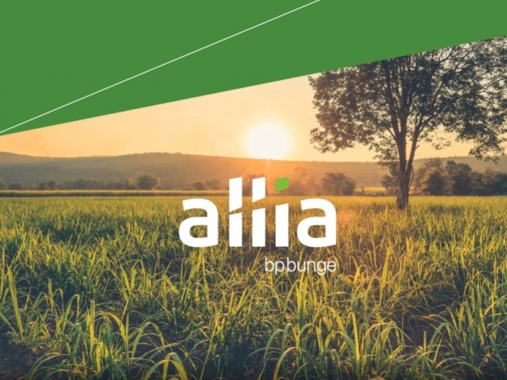 Bunge lança o programa Allia de negócios exclusiva para fornecedores de cana