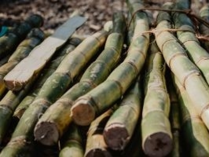 Como funciona o biometano?