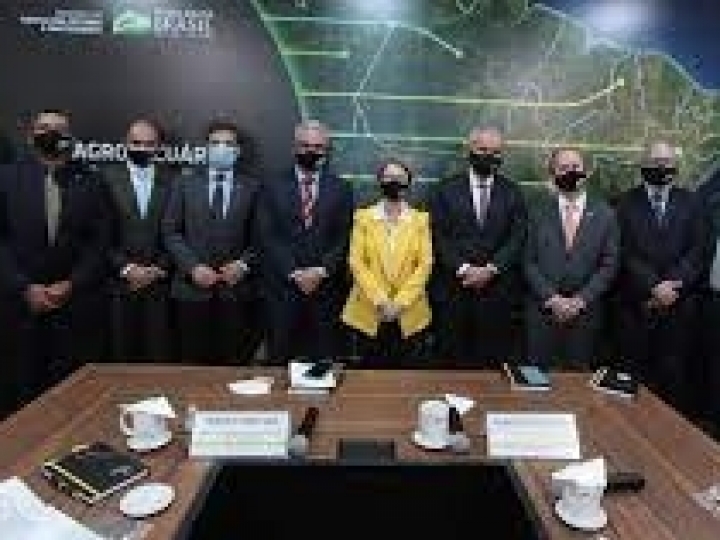 Portal do Observatório da Agropecuária Brasileira reúne mais de 200 bases de dados do agro