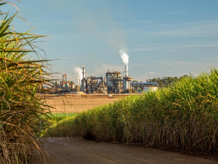 Setor sucroenergético discutirá suas boas práticas ambientais 