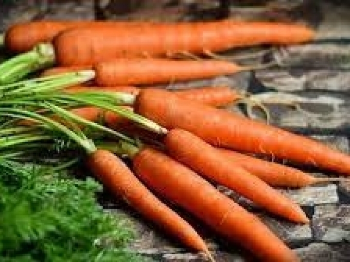 Oferta de cenoura e de cebola no atacado reflete em queda de preços