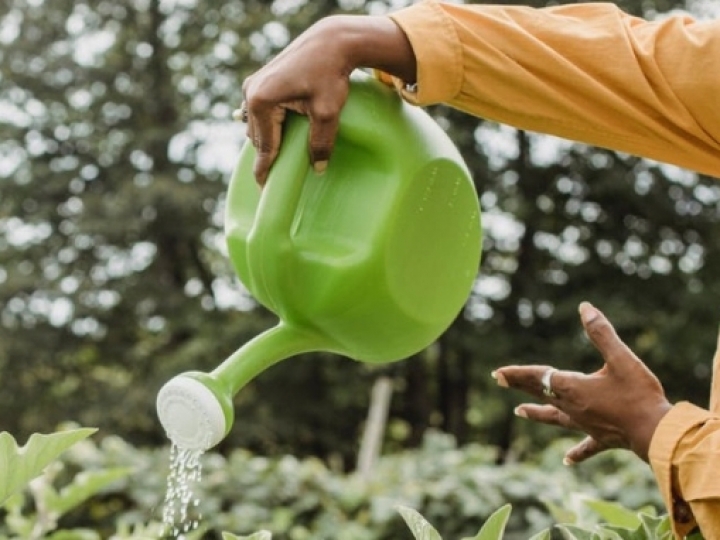 Câmara aprova projeto de socorro a agricultores familiares